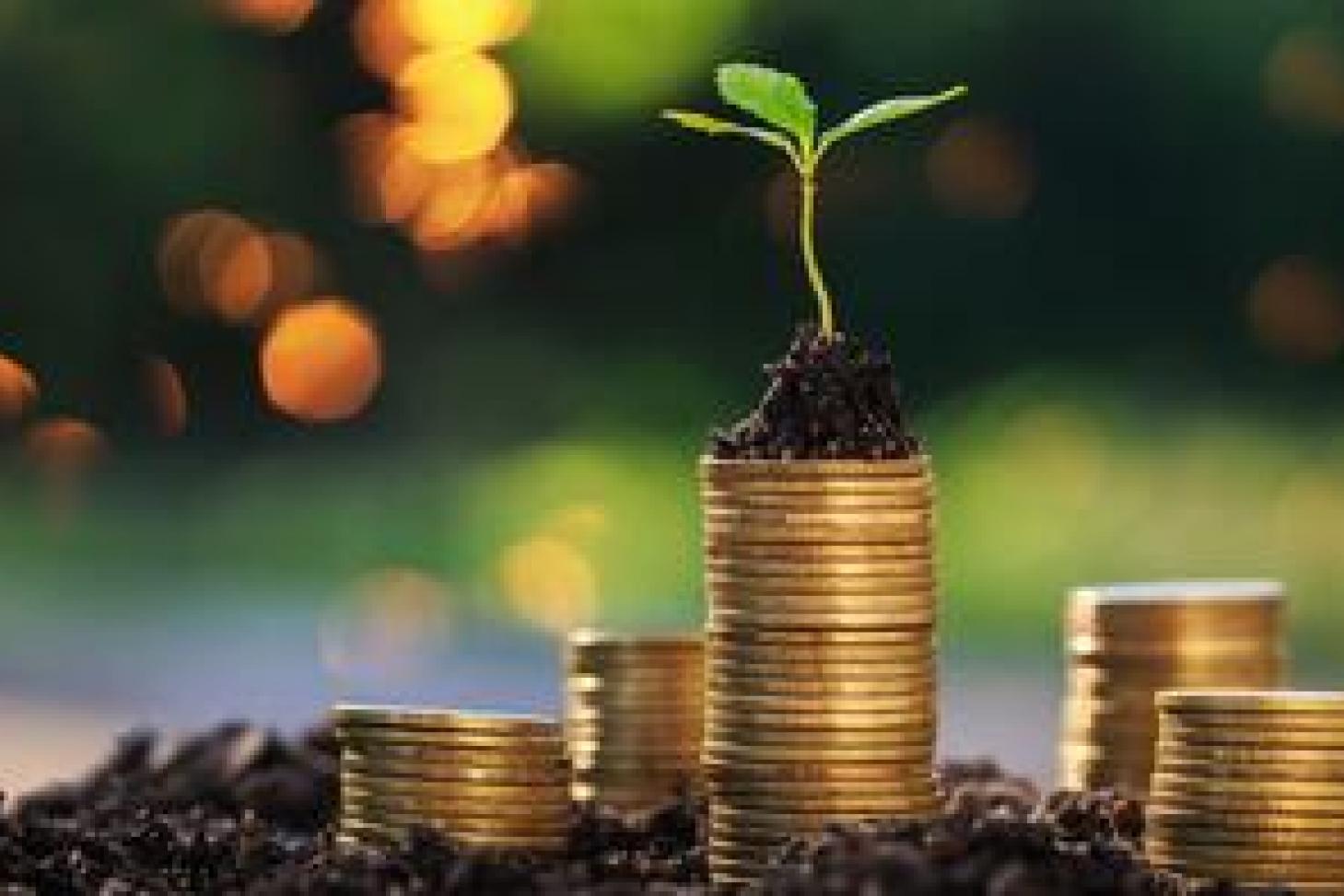 Return on investment concept and saving money Seedling on a blurred natural background