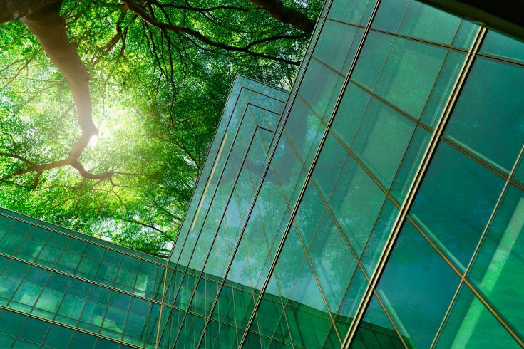Glass buildings and green trees